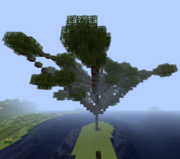 Дерево акации.png